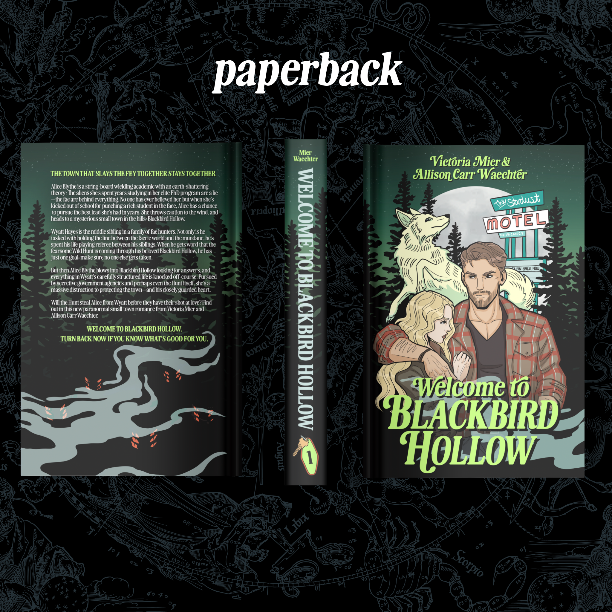 Welcome to Blackbird Hollow (Blackbird Hollow #1) - Victoria Mier & Allison Carr Waechter
