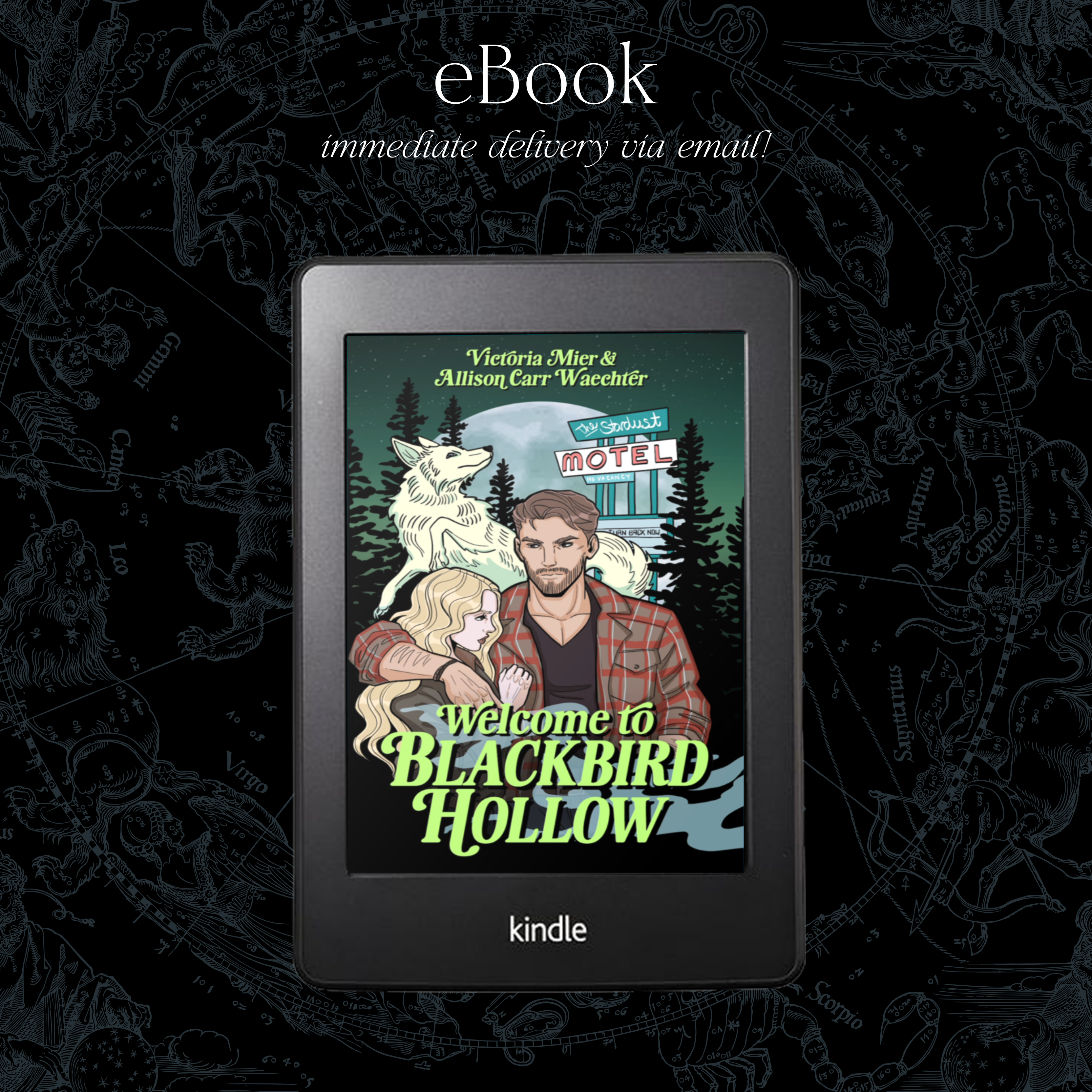 Welcome to Blackbird Hollow (Blackbird Hollow #1) - Victoria Mier & Allison Carr Waechter