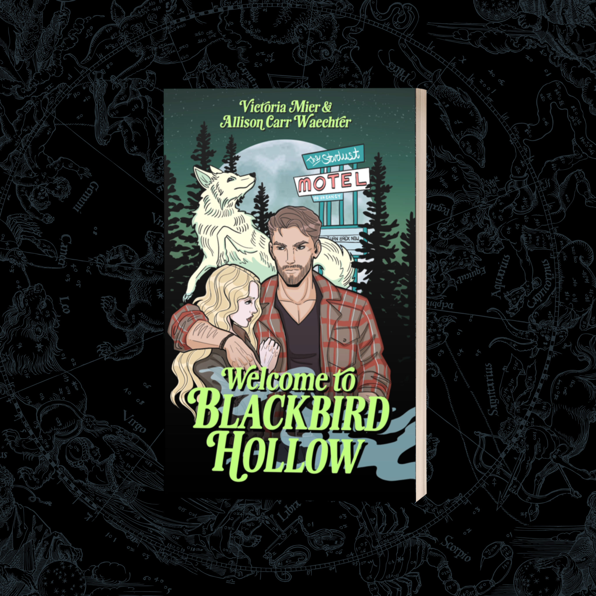 Welcome to Blackbird Hollow (Blackbird Hollow #1) - Victoria Mier & Allison Carr Waechter